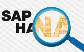 SAP HANA provides real time big data analytics